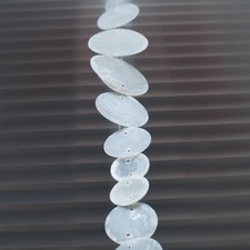 Capitz Muschelscheiben 10 er