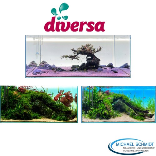 Diversa - (ab,