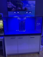 Meerwasseraquarium 