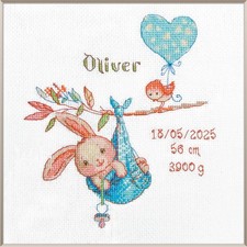 Aine Kreuzstich Stickpackung