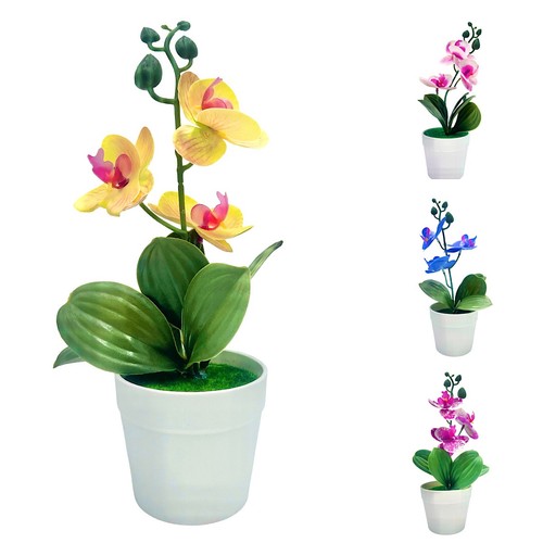 Künstliche orchideen set - orchideen,