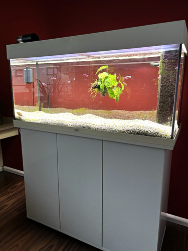 Juwel aquarium rio 180l - 180l, mit