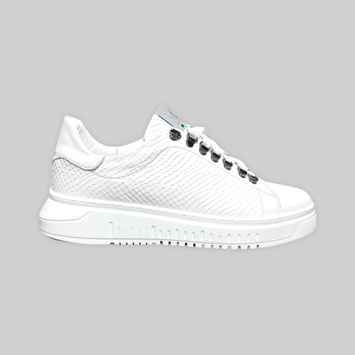 Sneaker uomo pelle anaconda - pelle,