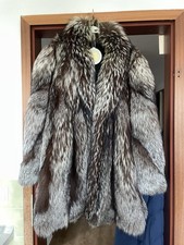 Silberfuchs Polarfuchs