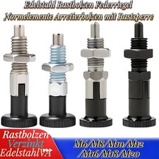 Edelstahl Rastbolzen