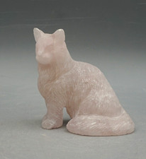 Norwegische waldkatze aus - norwegische,