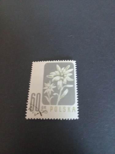 Briefmarke polska - briefmarke,
