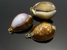  Kauri Muschel Anhänger Muschelanhänger Perlmutt Schnecke, A-256