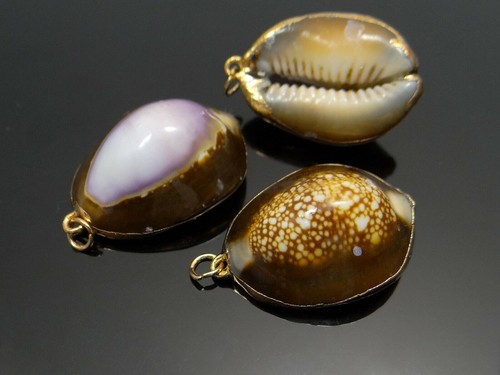 Kauri muschel anhänger - ,