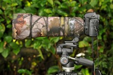 Sigma 150-600mm F5 6.3 DG OS