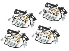 Vergaser Reparatur Satz 4