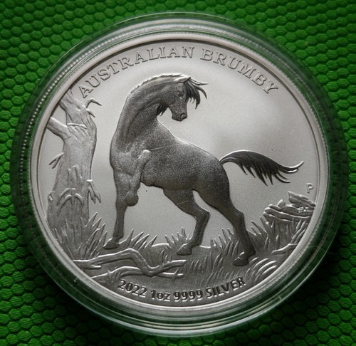 2022 australien brumby - 2022,