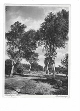 R207 AK Lüneburger Heide Birkenweg  gelaufen 1933