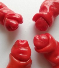 SAMEN im Garten so etwas habe sie im Gemüseregal noch nicht gesehen Penis Chili