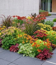 Staudenbeet 'Elegance',7