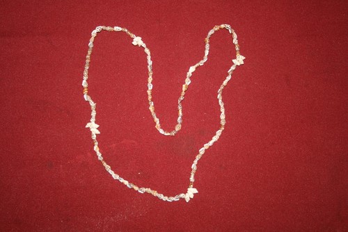 Halskette muschelkette - halskette,