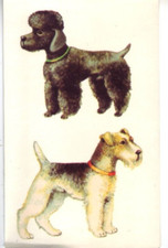 DDR Abziehbilder Schiebebilder