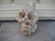 Meerwasser getrocknetes