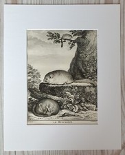 1767 Lithographie Kunstdruck