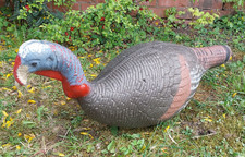 XPE Foam 3D Turkey