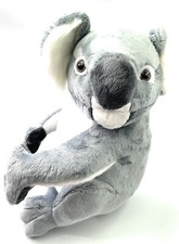 Koala bär süß groß - süß,