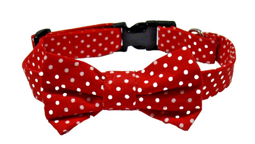 Hundehalsband mit