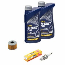 Öl 2L Inspektionspaket für