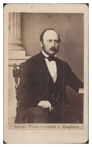 S7617 cdv foto albert - cdv,