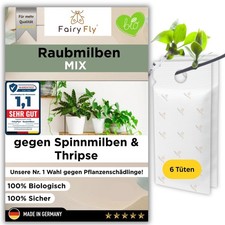 Raubmilben Mix gegen Thripse &
