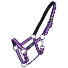 Island Pferde Nylonhalfter