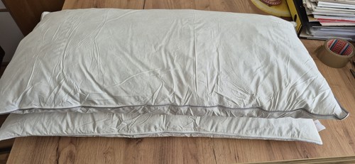 Daunenkissen 40x80 - daunenkissen,