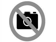 Kerbl Entfilzungskamm Fein 20