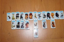 über 20 verschiedene ICE AGE