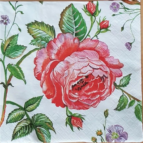 Servietten papier rot rose - 5,