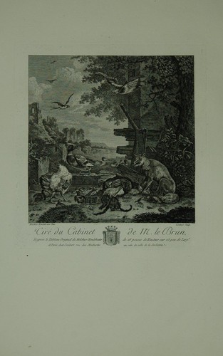 Hühnerhof und fuchs mit totem - und,