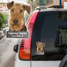 Airedale Terrier an Bord