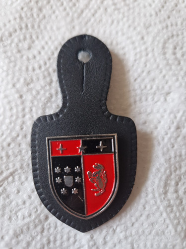 Panzerbataillon 203 - ,