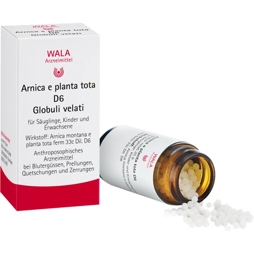 Arnica planta tota 6 - e,