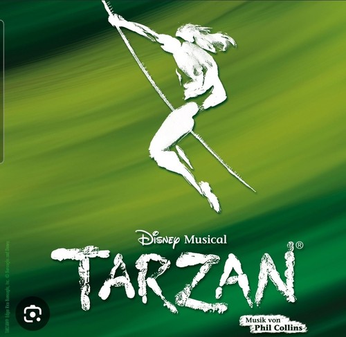 Musical tickets disneys - tickets,