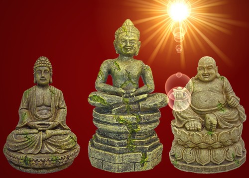 Aquarium deko buddha - ❤️,