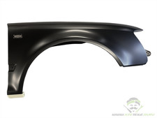 Original Kotflügel vorn