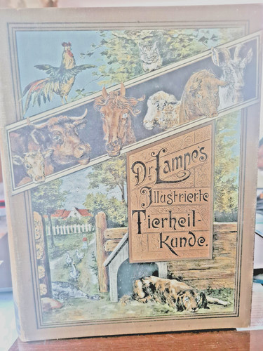 Lampe illustrierte - dr.,
