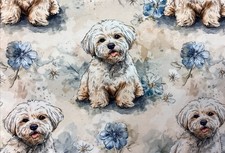 100 cm French Terry Shih Tzu