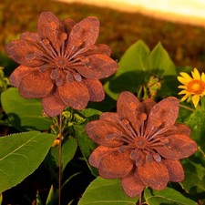 2er-Set Edelrost Gartenstecker