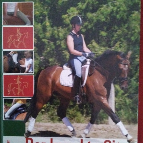 Der harmonische sitz - der, reiten