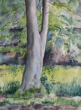 Gerhard Schulte-Dahling Baum
