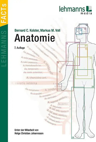 Anatomie