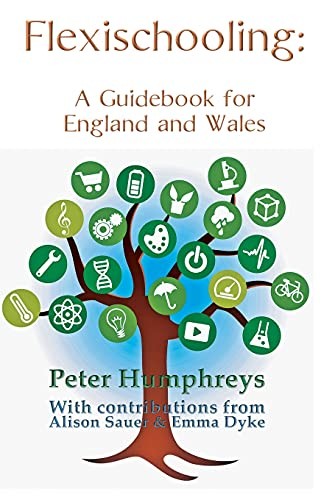 Flexischooling guidebook - flexischooling,