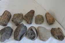 Schwemmholz Treibholz 10 Skulpturen L 12-19 cm  Lampe Engel Schiff Boot BodenSEE