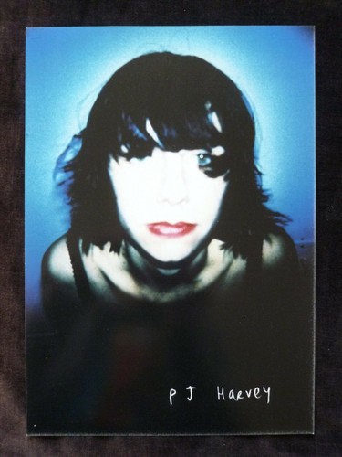 Harvey the buchstabe - pj,